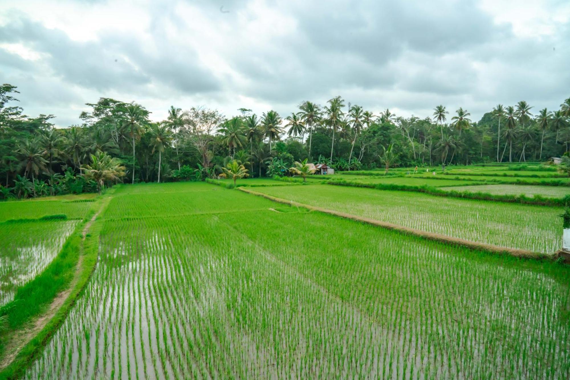 Tulus Hati Ubud Retreat ภายนอก รูปภาพ